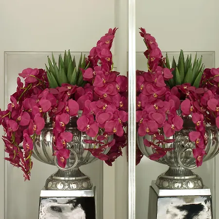 Genesis מלון פאטימה